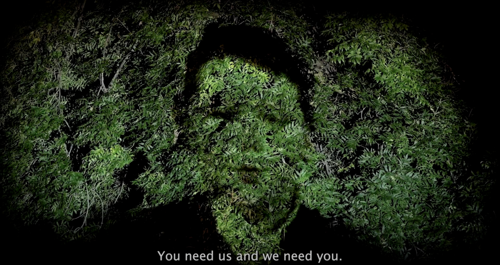 A video still, showing a boy's face screened onto the leaves of a mature tree. Captions at the bottom read "you need us and we need you"